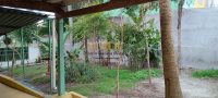 QUINTAL5