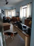 IMG_20210326_145004743_MP