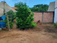 IMG-20250106-WA0047