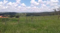 terreno a venda em crucilandia mg 3199526 5839 a