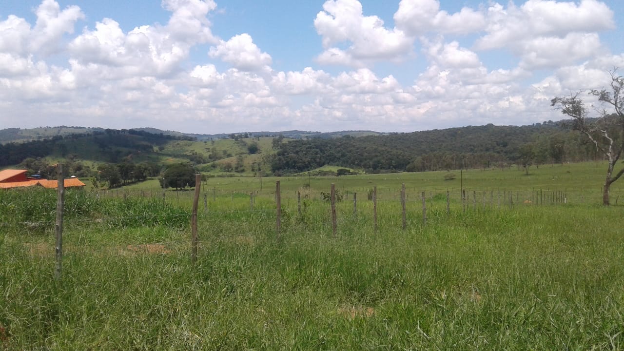 terreno a venda em crucilandia mg 3199526 5839 a