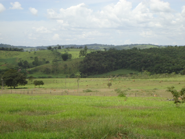 terreno a venda em crucilandia mg 3199526 5839 e