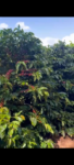 Screenshot_20250516-163829