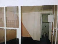 BARAO 06