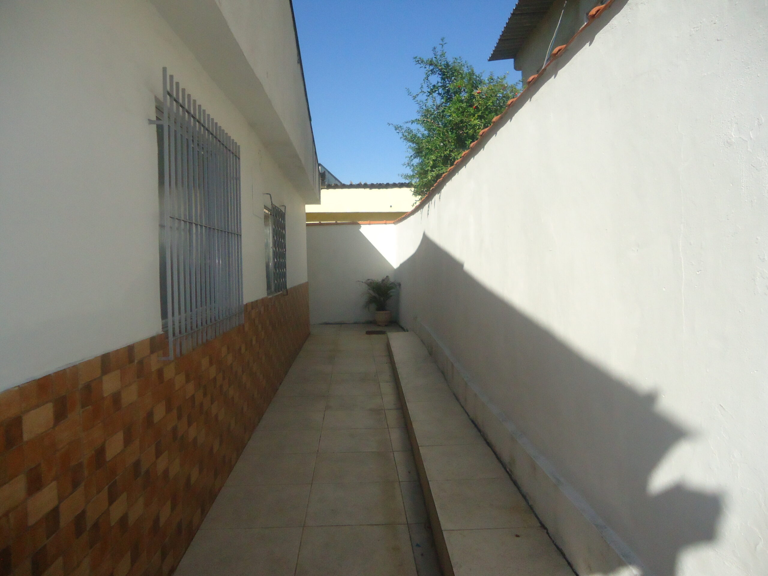DSC06782