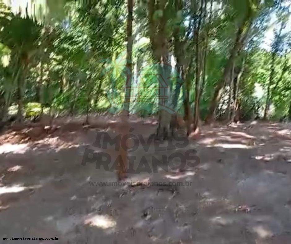 202502172017306472
