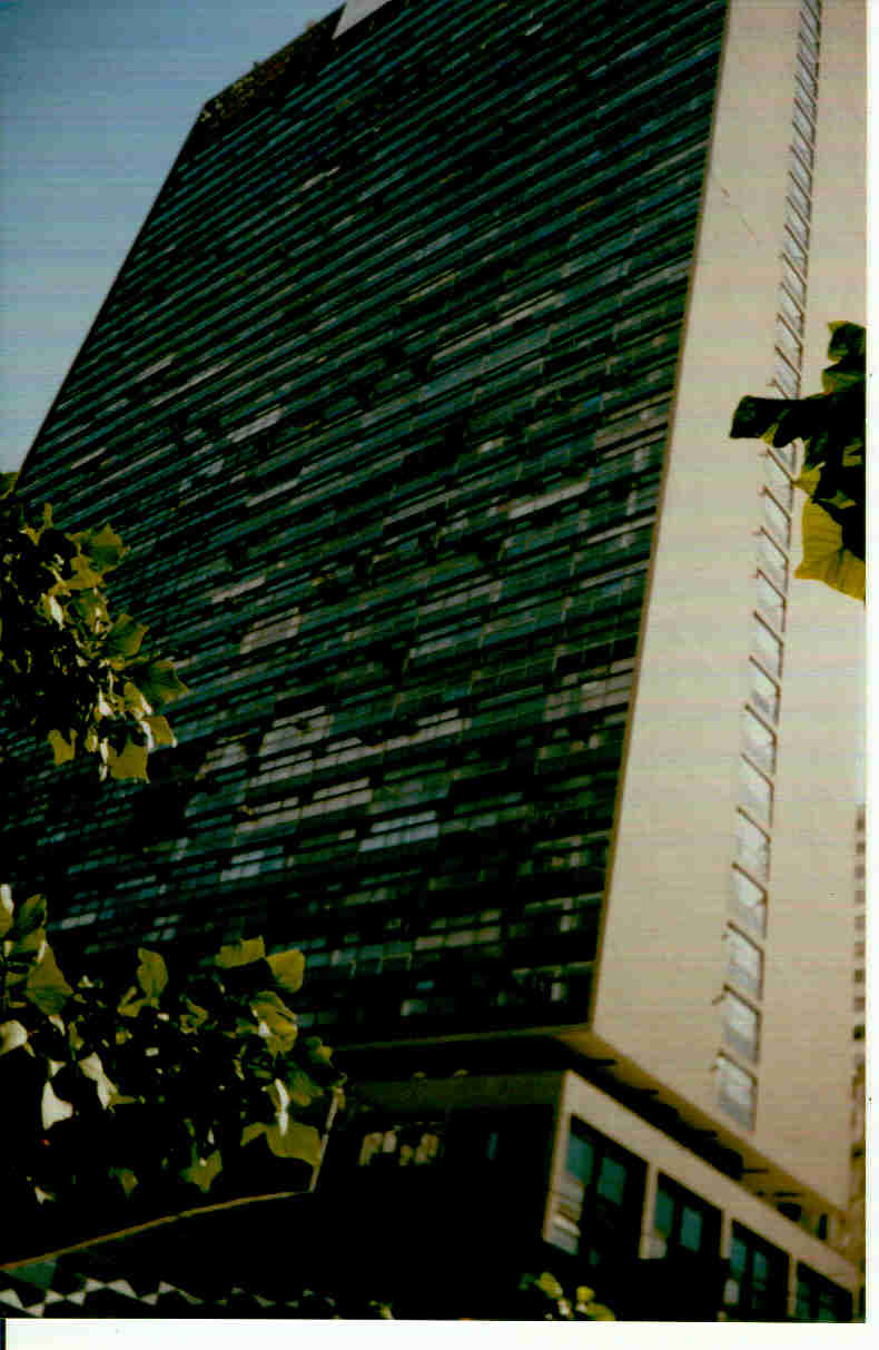 ZARZUR VISTA FRONTAL
