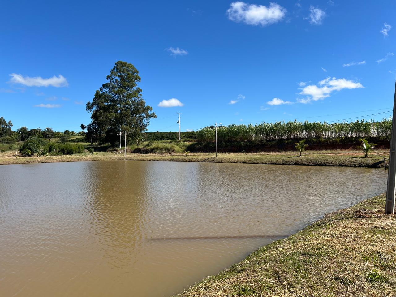 IMG-20250514-WA0049