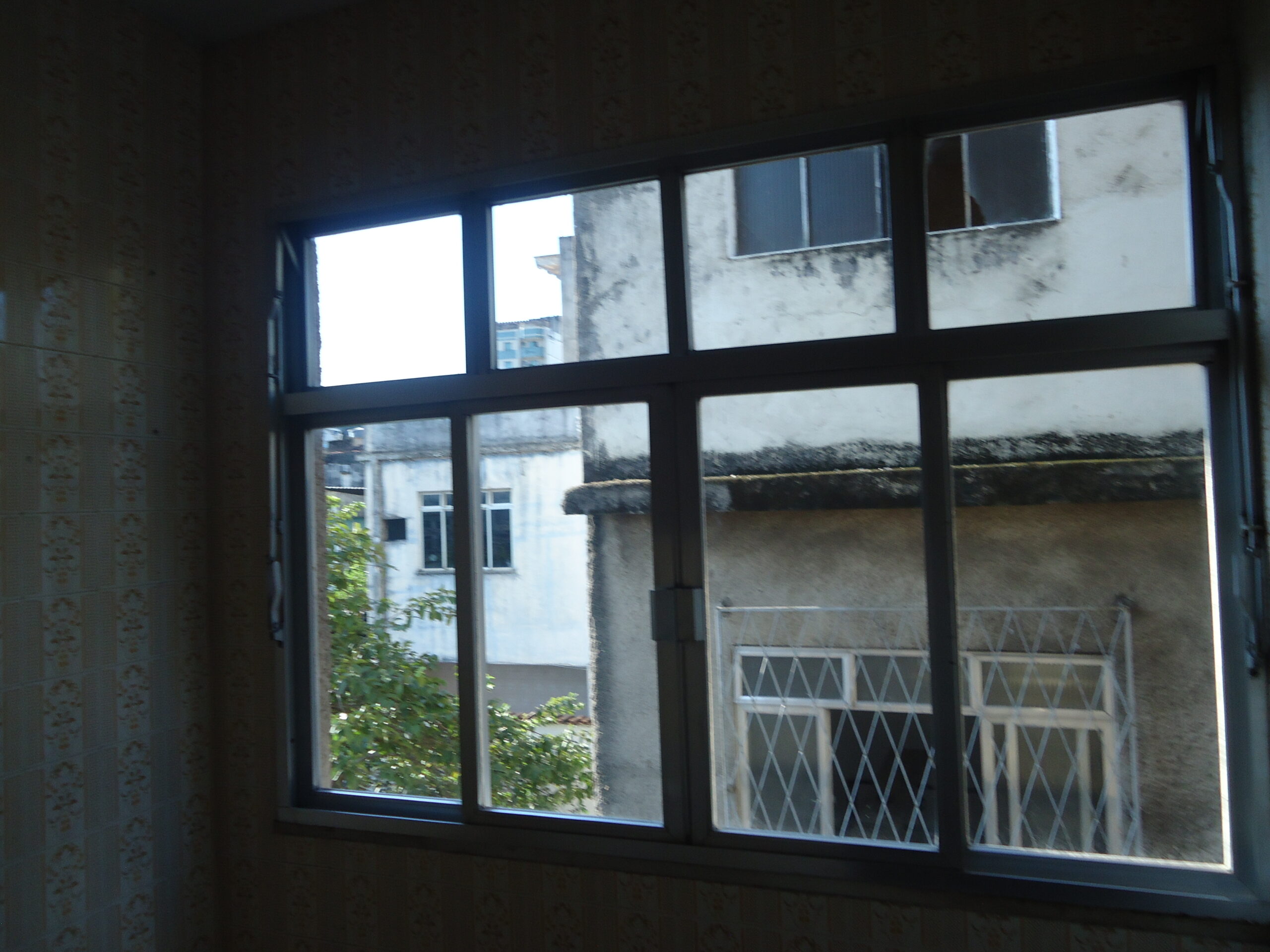 DSC00810