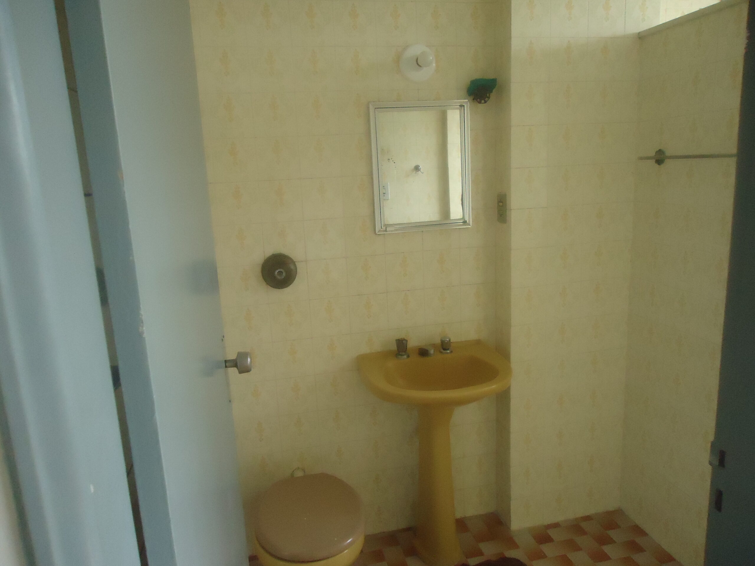 DSC07077