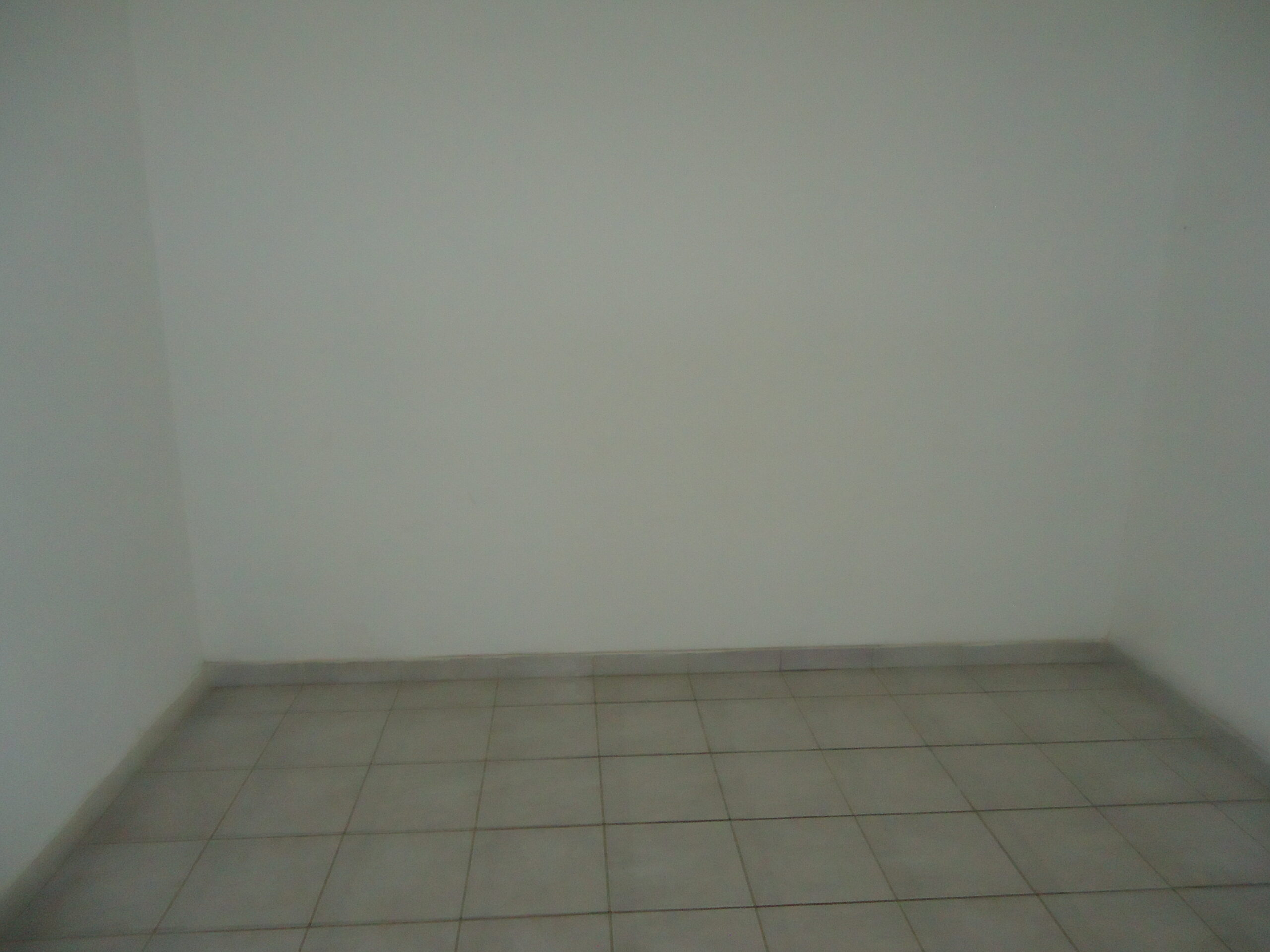 DSC06407