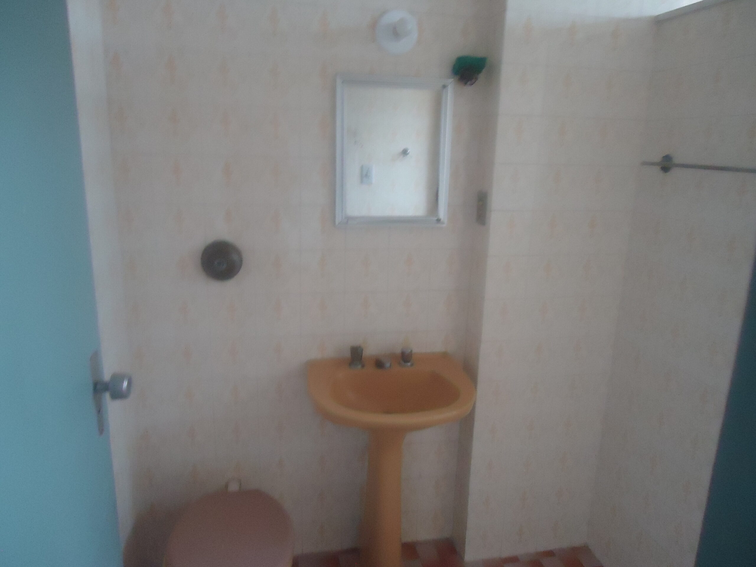 DSC07045