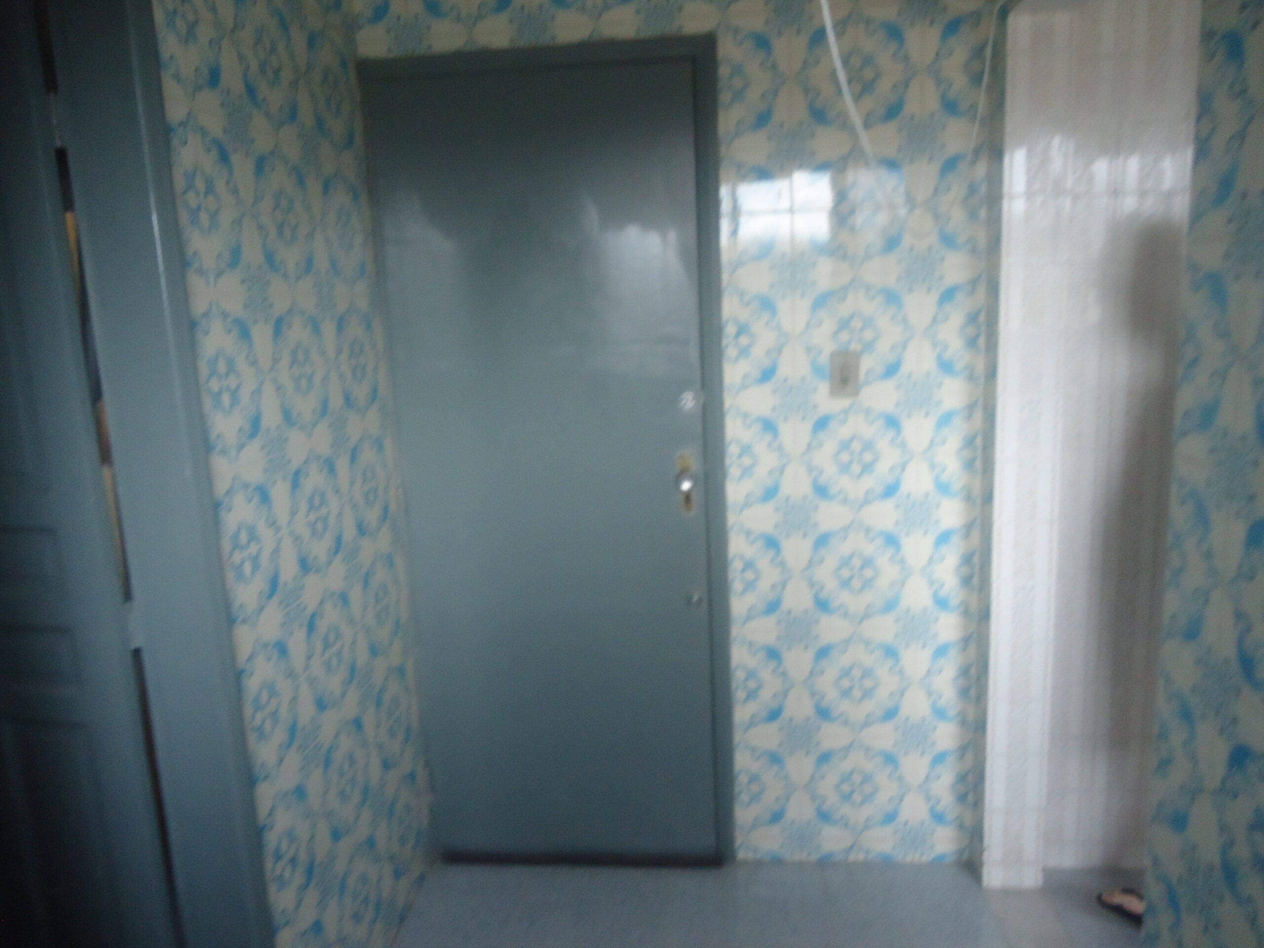 DSC07071