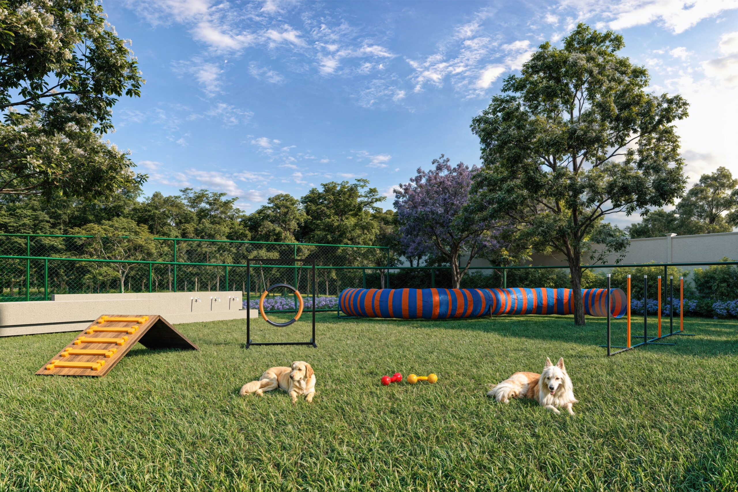 SQUAD-CAC-SOLARE-IMG-PET-PLACE-R02-min-scaled