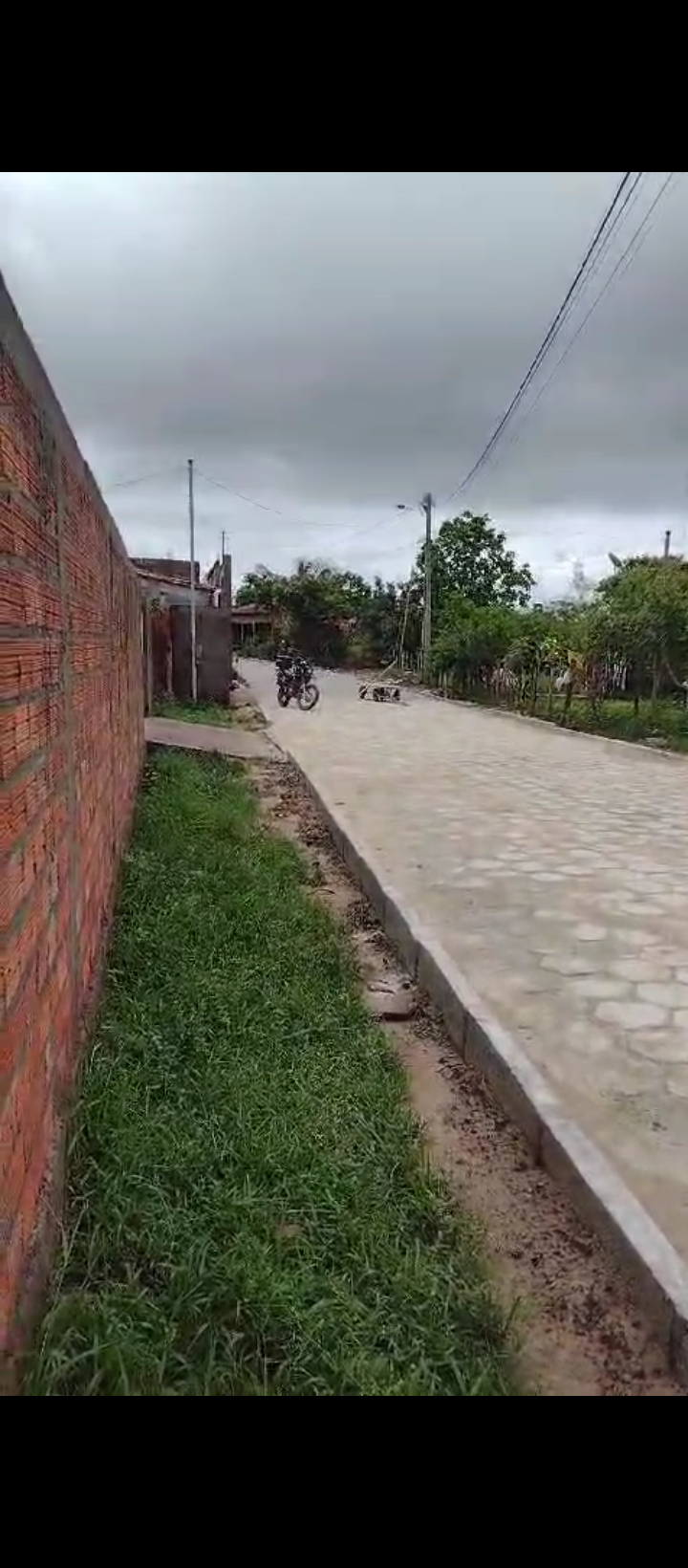Screenshot_20250201-122939