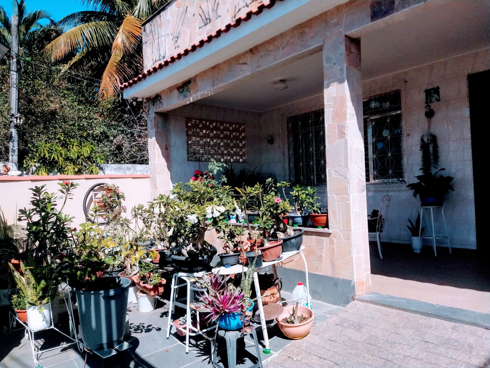 frentecasa