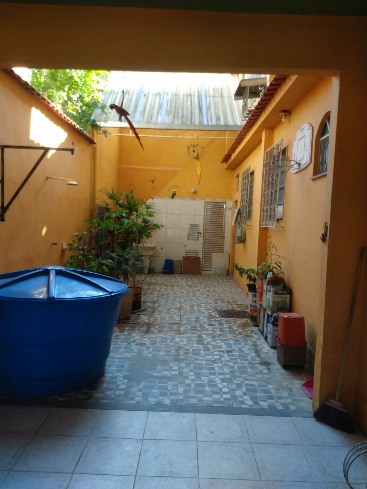 QUINTAL1