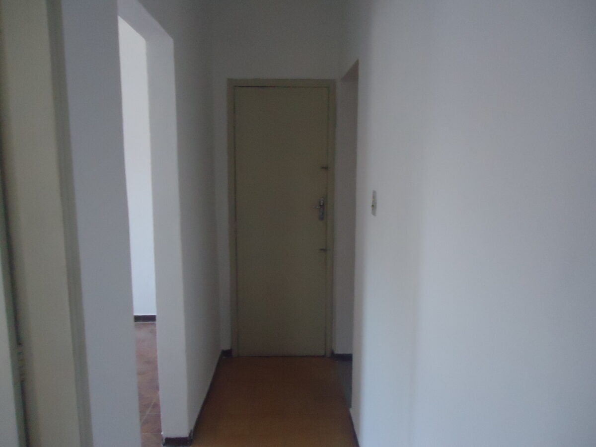DSC07519