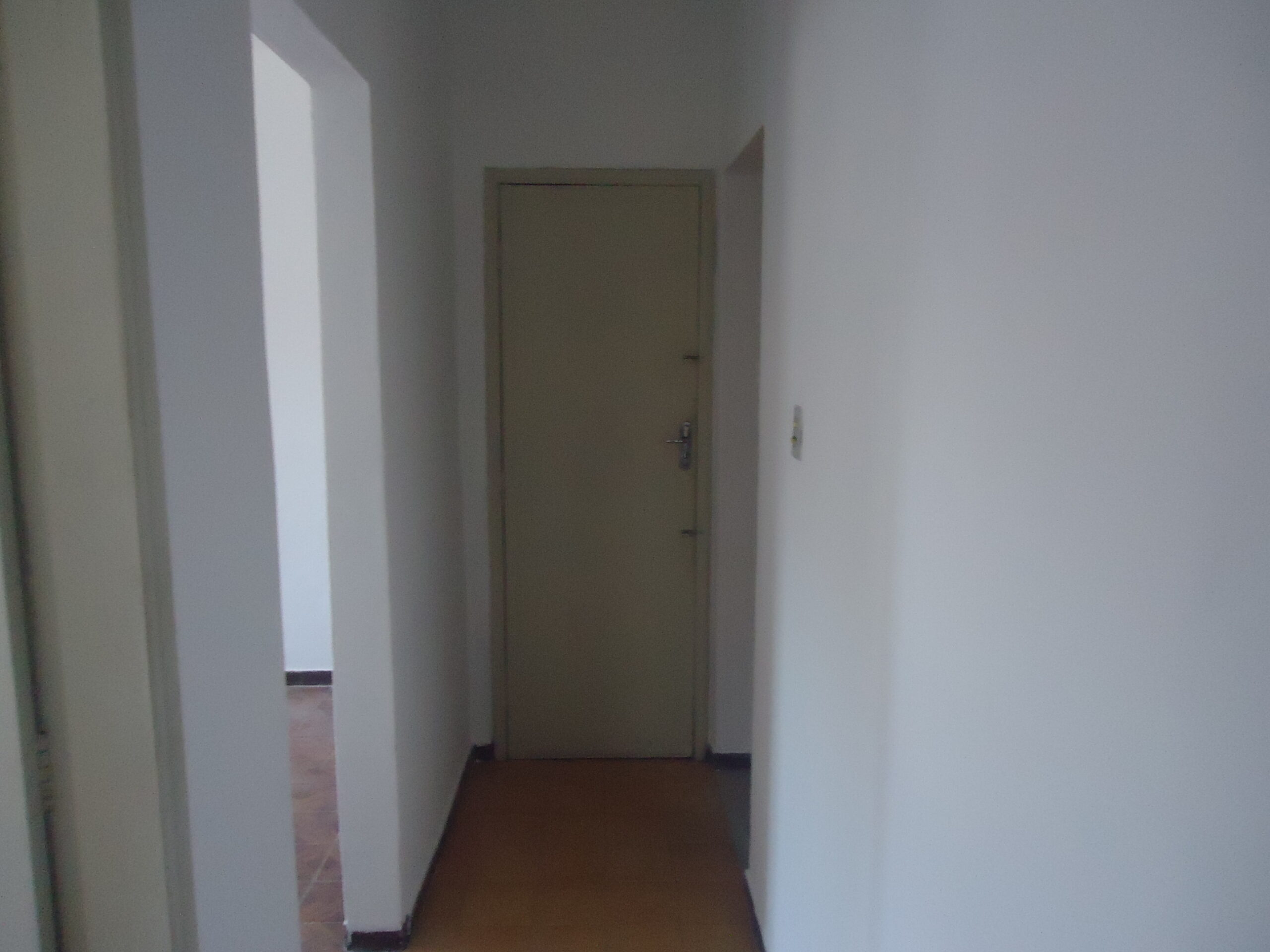 DSC07519