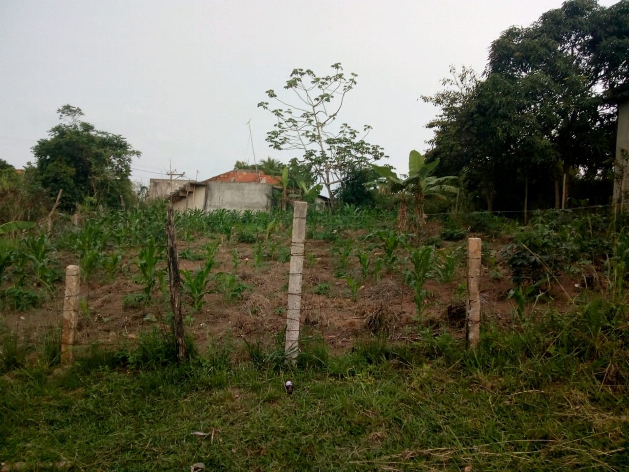 WhatsApp Image 2025-08-05 at 14.14.45 (2)