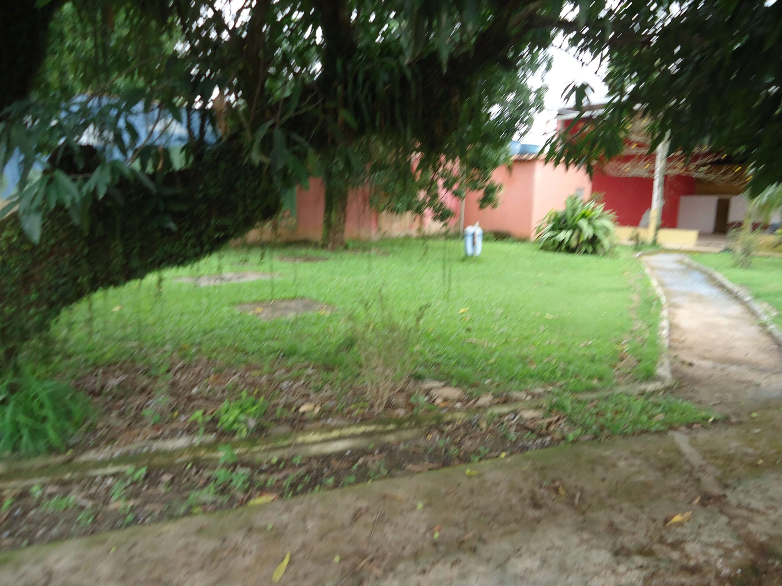 DSC01593