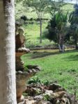 IMG-20250519-WA0068