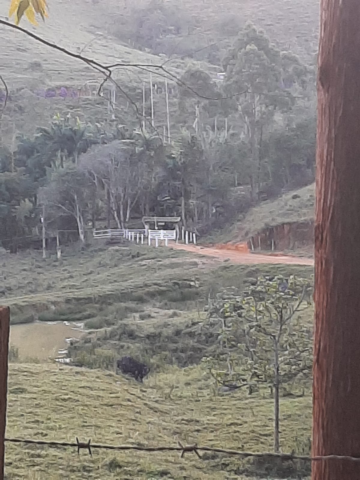 IMG-20250705-WA0015