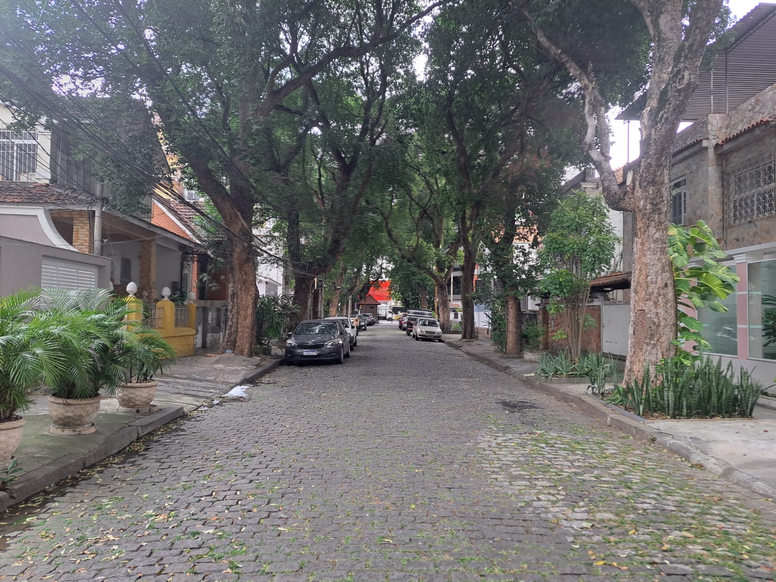 RUA 1