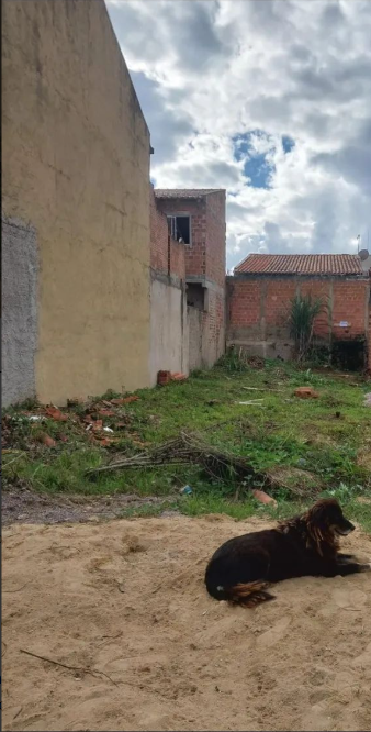 Captura de tela 2025-11-17 182105