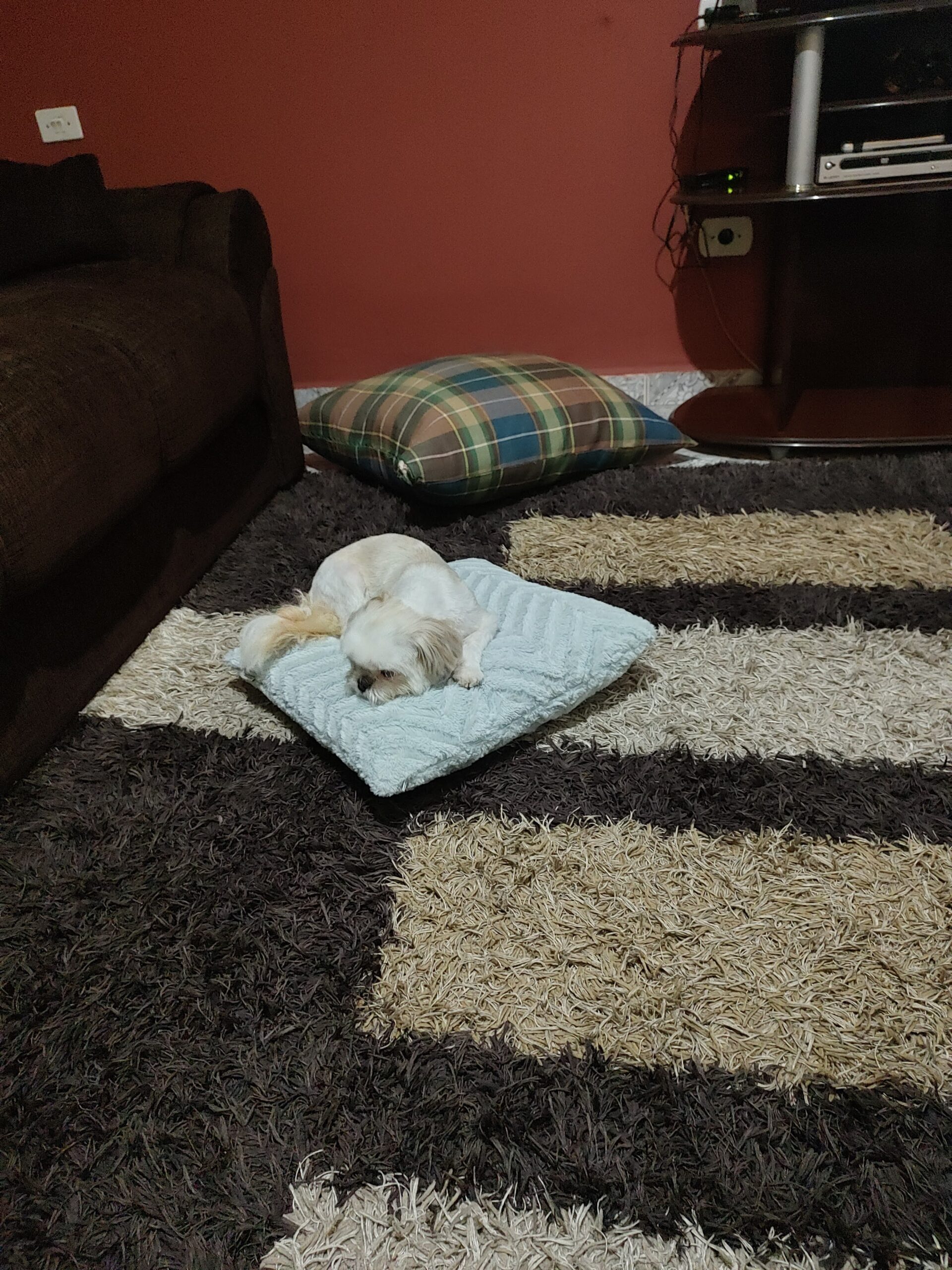 IMG_20220402_191443219_HDR