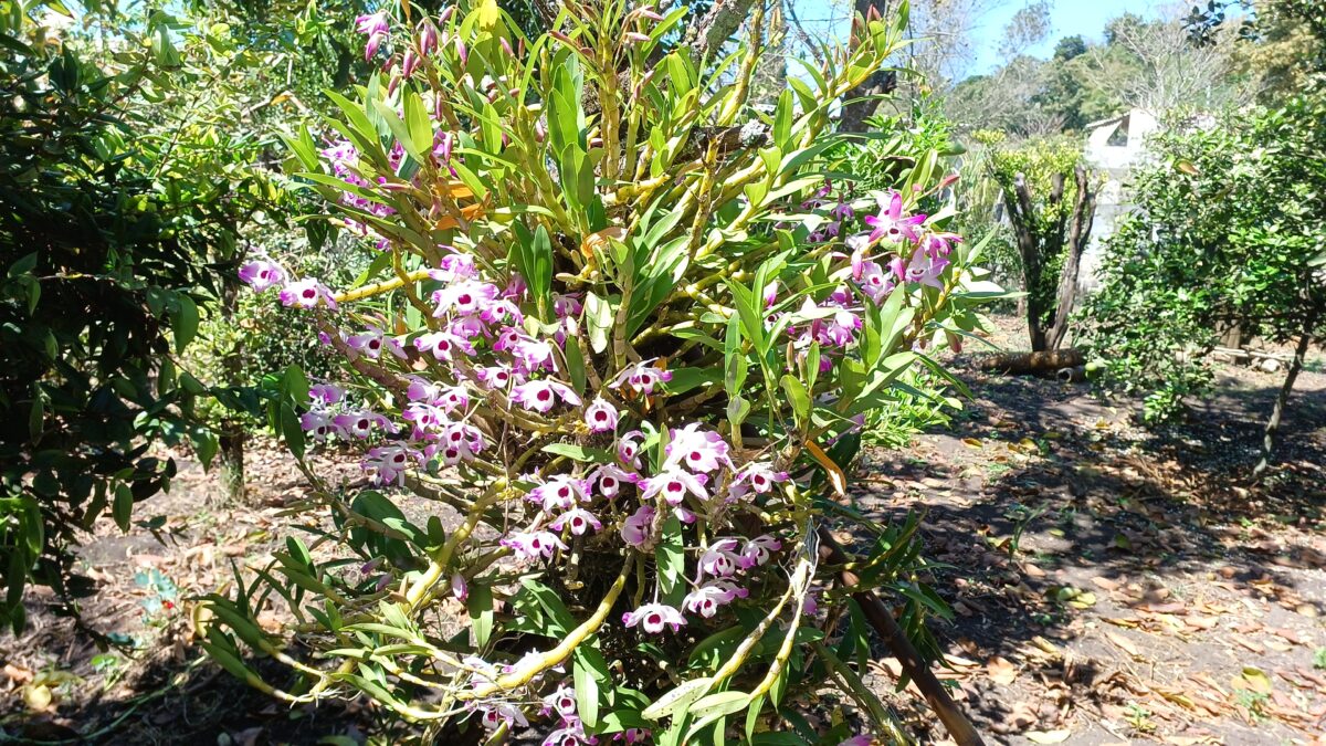 b3d270fe-b655-4369-abc6-607a19310b07-1_all_218