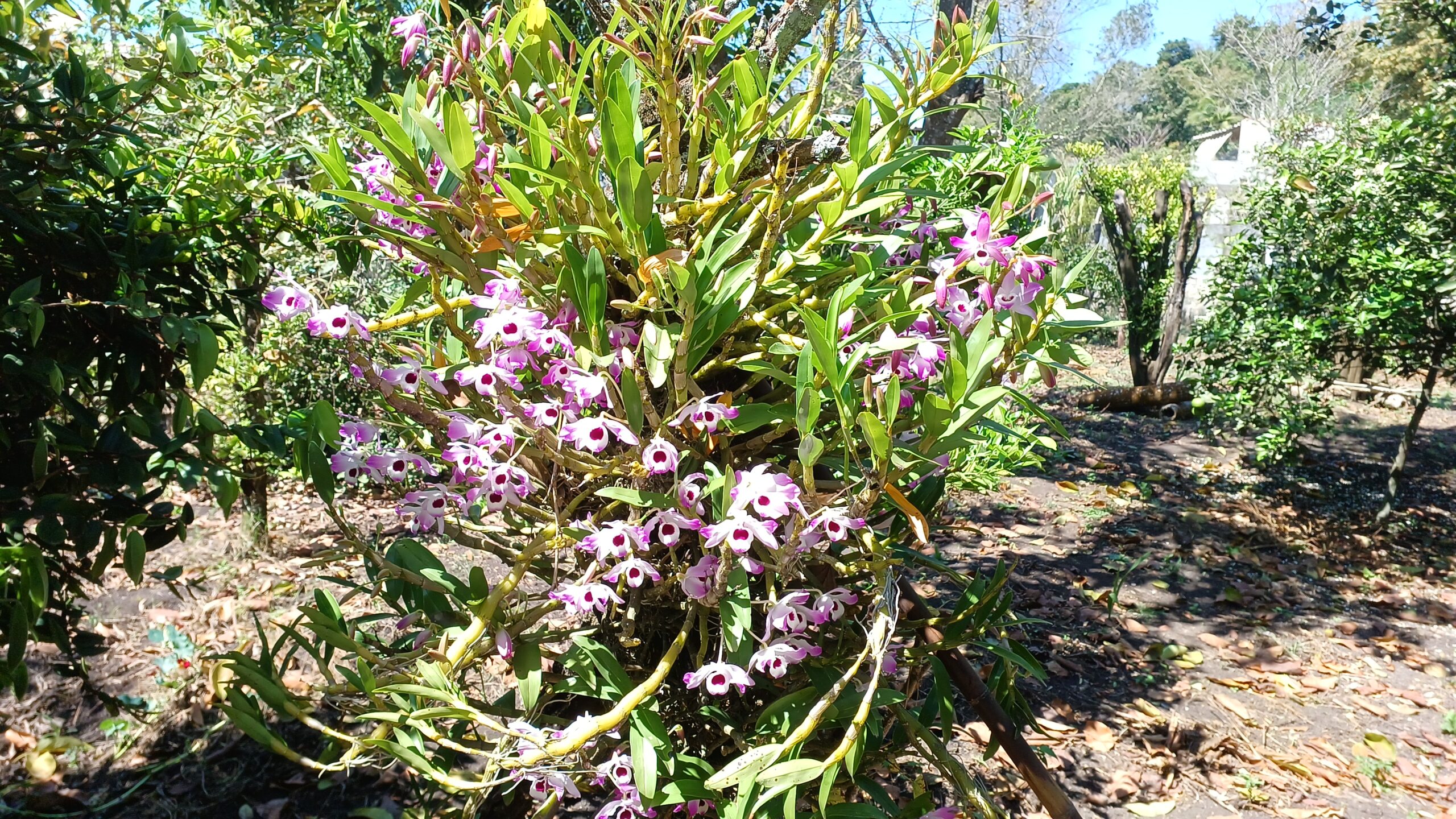 b3d270fe-b655-4369-abc6-607a19310b07-1_all_218