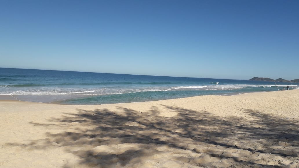 1c4480ab-a0e2-4502-b27e-13f2da975b1e