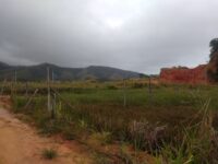 6ca74682-e9c2-49f5-8106-117a69504cb8