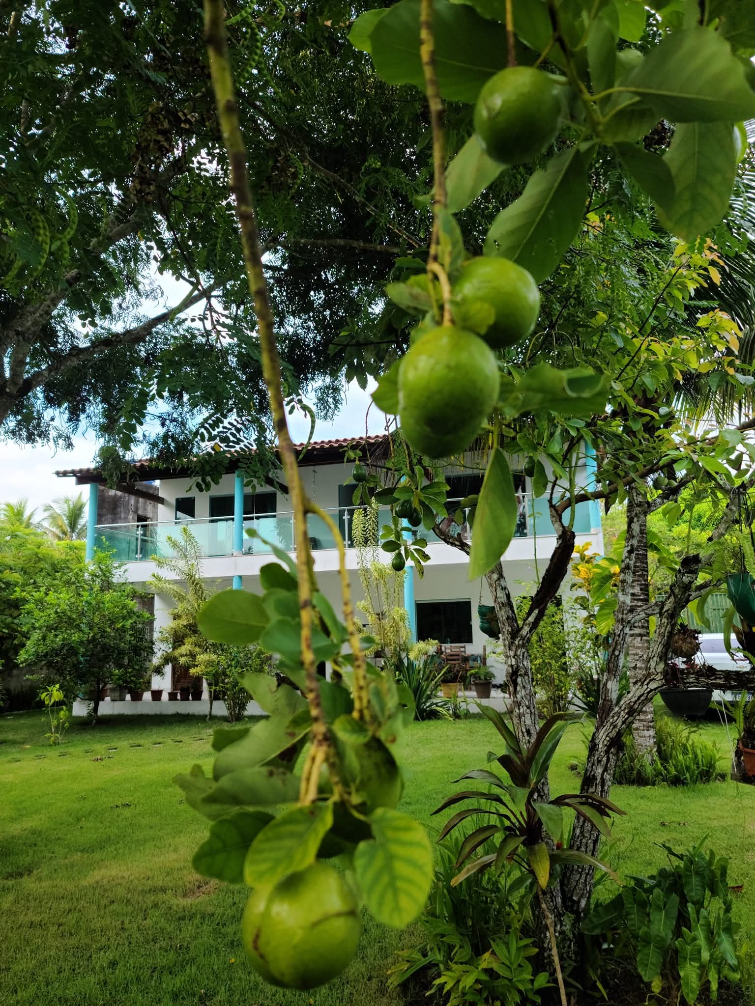 FB_IMG_1769170164308