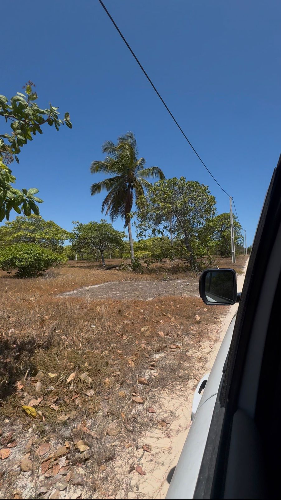 WhatsApp Image 2026-01-20 at 09.48.00