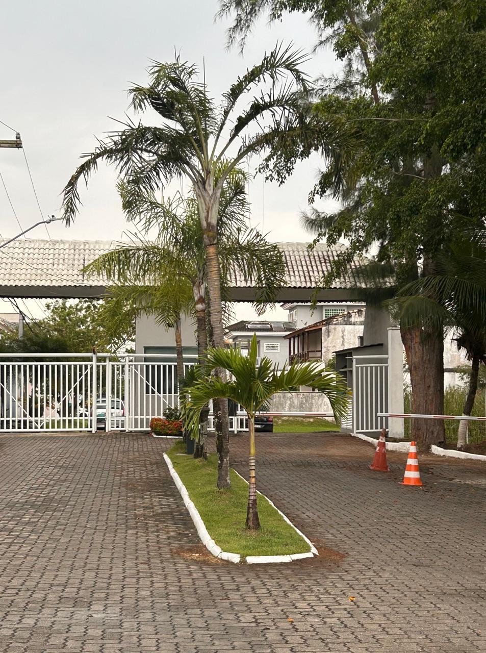 WhatsApp Image 2026-01-26 at 15.27.34 (1)