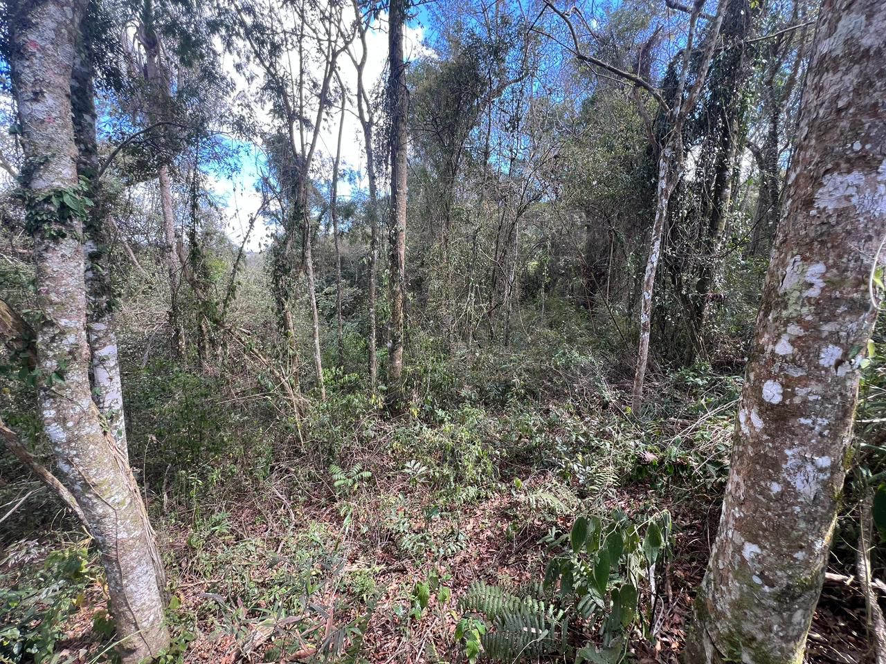 WhatsApp Image 2026-01-27 at 00.59.24 (2)