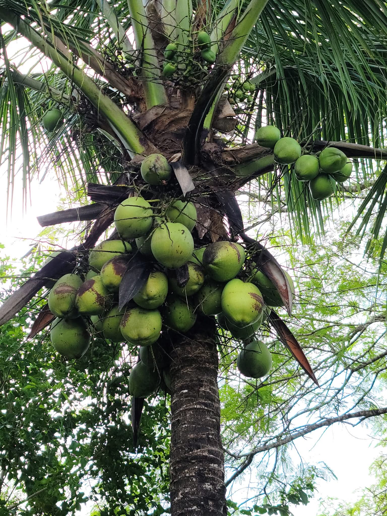 FB_IMG_1769558824117