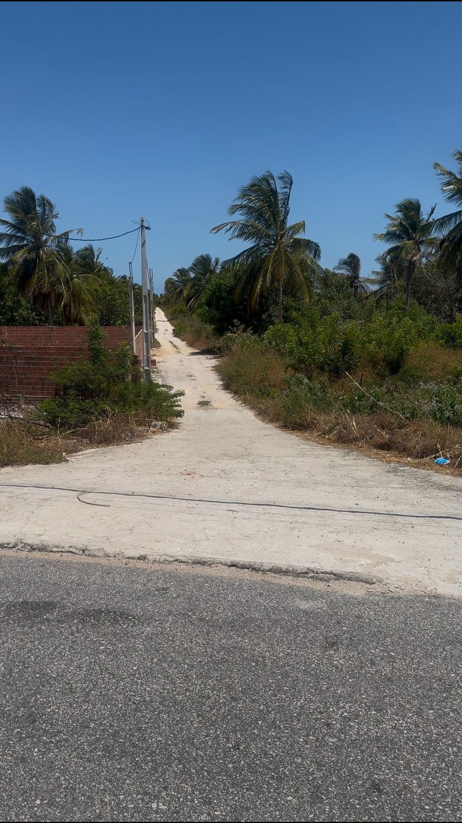 WhatsApp Image 2026-01-20 at 09.47.59 (1)