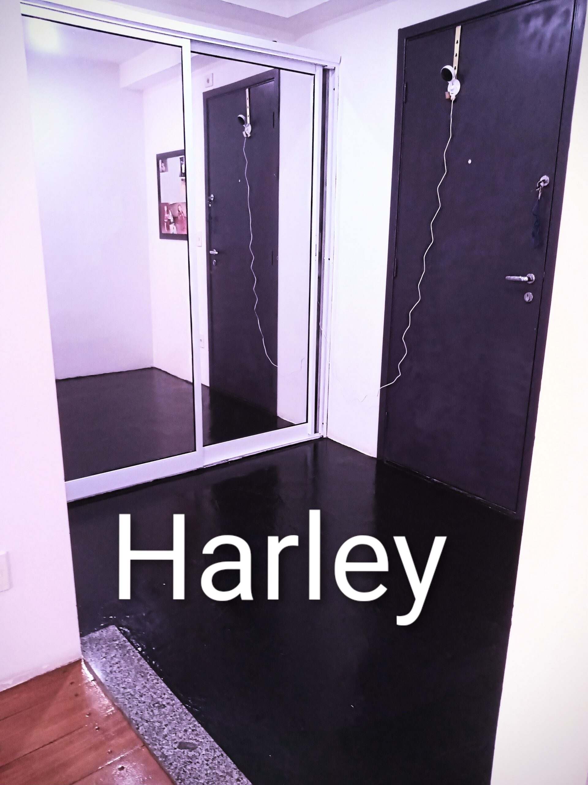 IMG_20250224_144745712~2 (1)