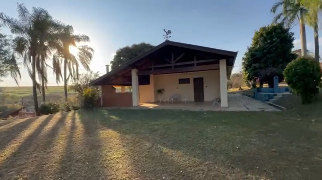 vista frontal bemtevi