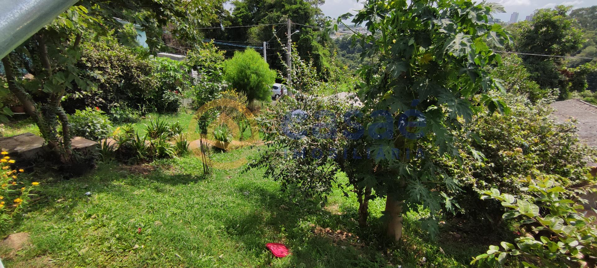 16772791748151677279174343IMG_20230210_143112