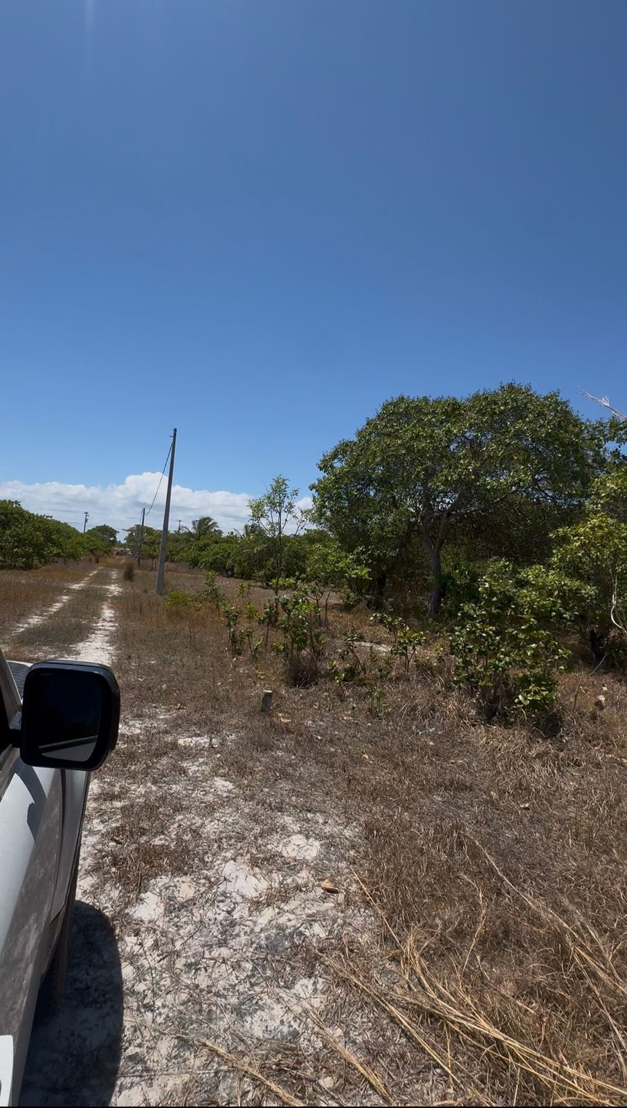 WhatsApp Image 2026-01-20 at 09.48.01