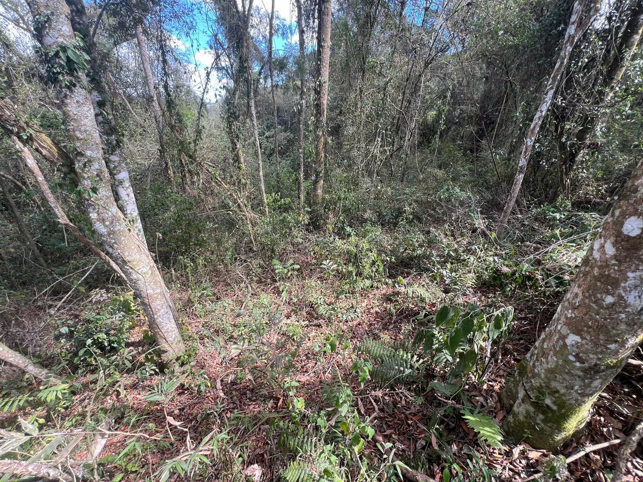 WhatsApp Image 2026-01-27 at 00.59.24 (1)