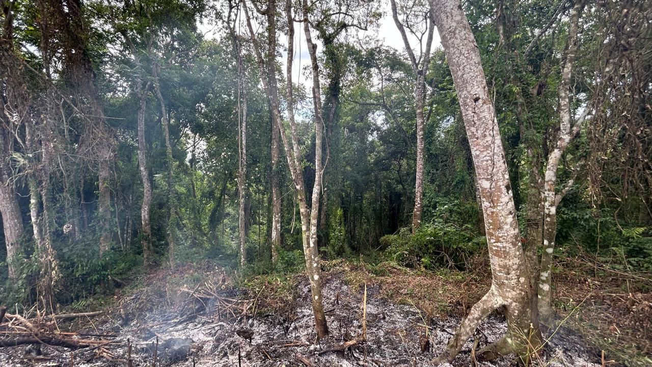 WhatsApp Image 2026-01-27 at 00.59.22 (5)