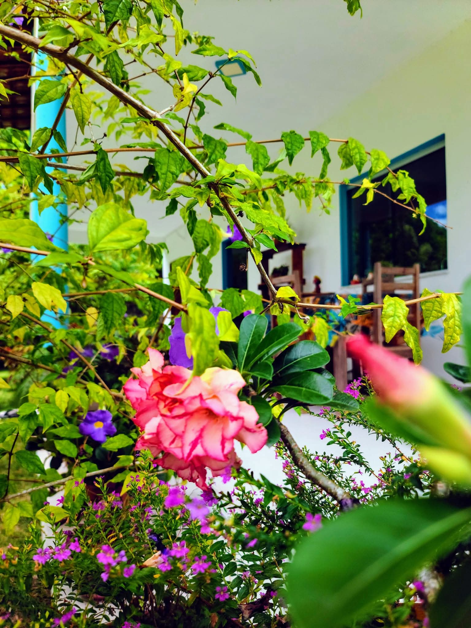 FB_IMG_1768934185973