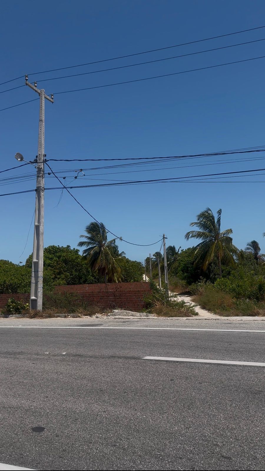 WhatsApp Image 2026-01-20 at 09.47.59