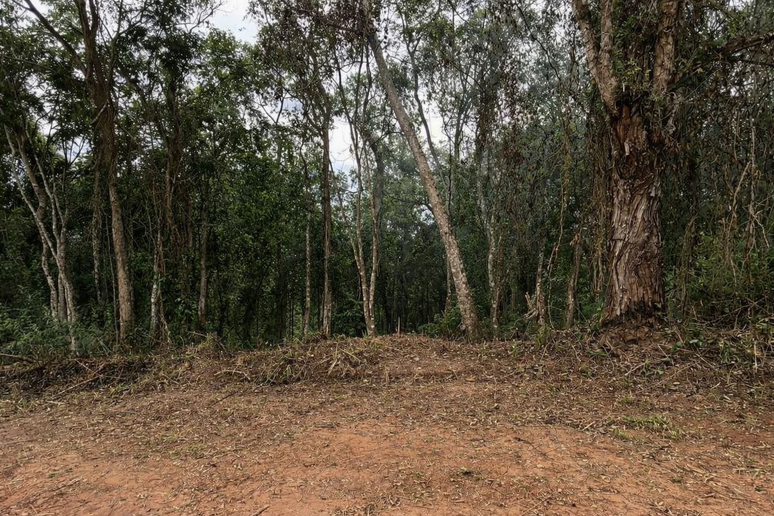 WhatsApp Image 2026-01-27 at 00.59.12