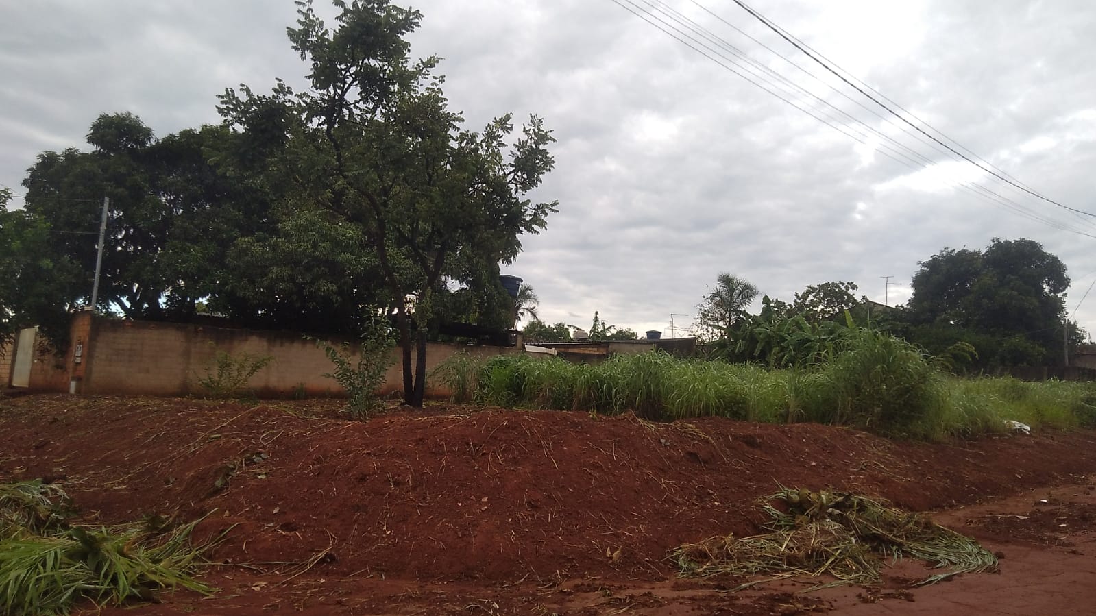 PHOTO-2026-01-28-07-22-36